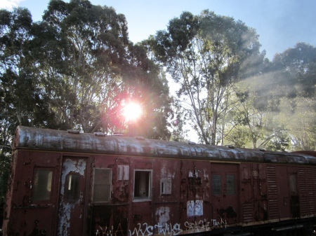 Photograph of a derelict abandoned train carriage.